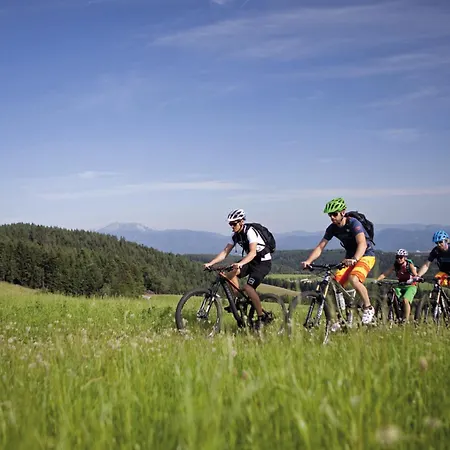 Vitalzeit Weber 4* Bad Schönau