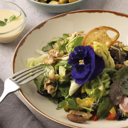 Vitalzeit Weber Szálloda