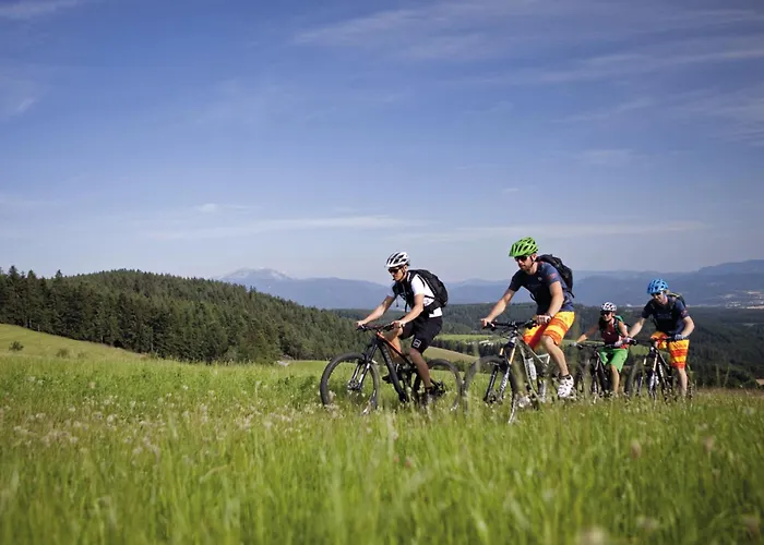 Vitalzeit Weber 4* Bad Schönau